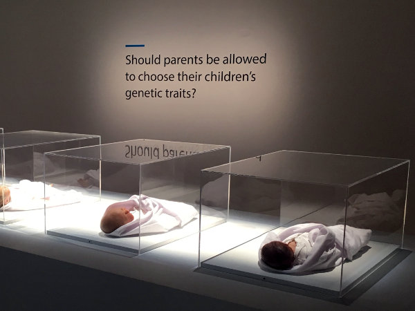 Agi Haines presenting Transfiguration