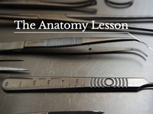 Agi Haines presents dissecting medical futures