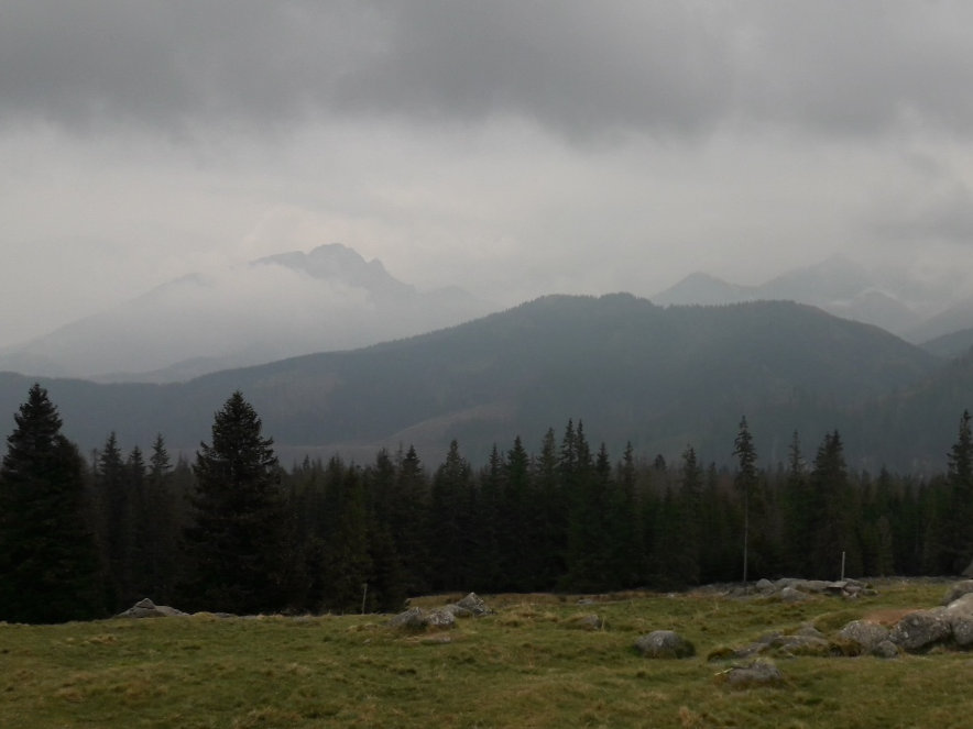 Klara at the Paripatetic conference